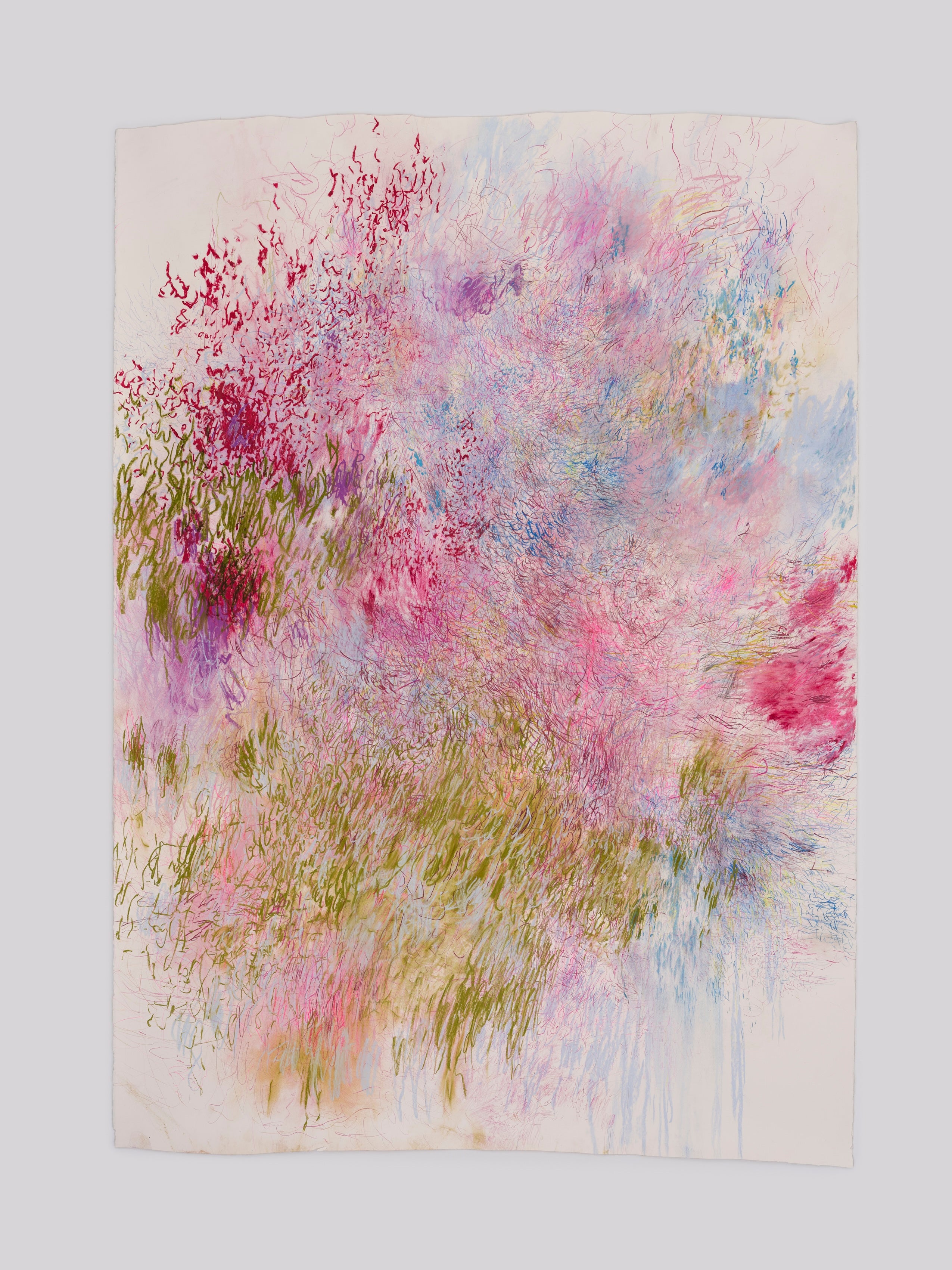 "At the peak of its bloom"