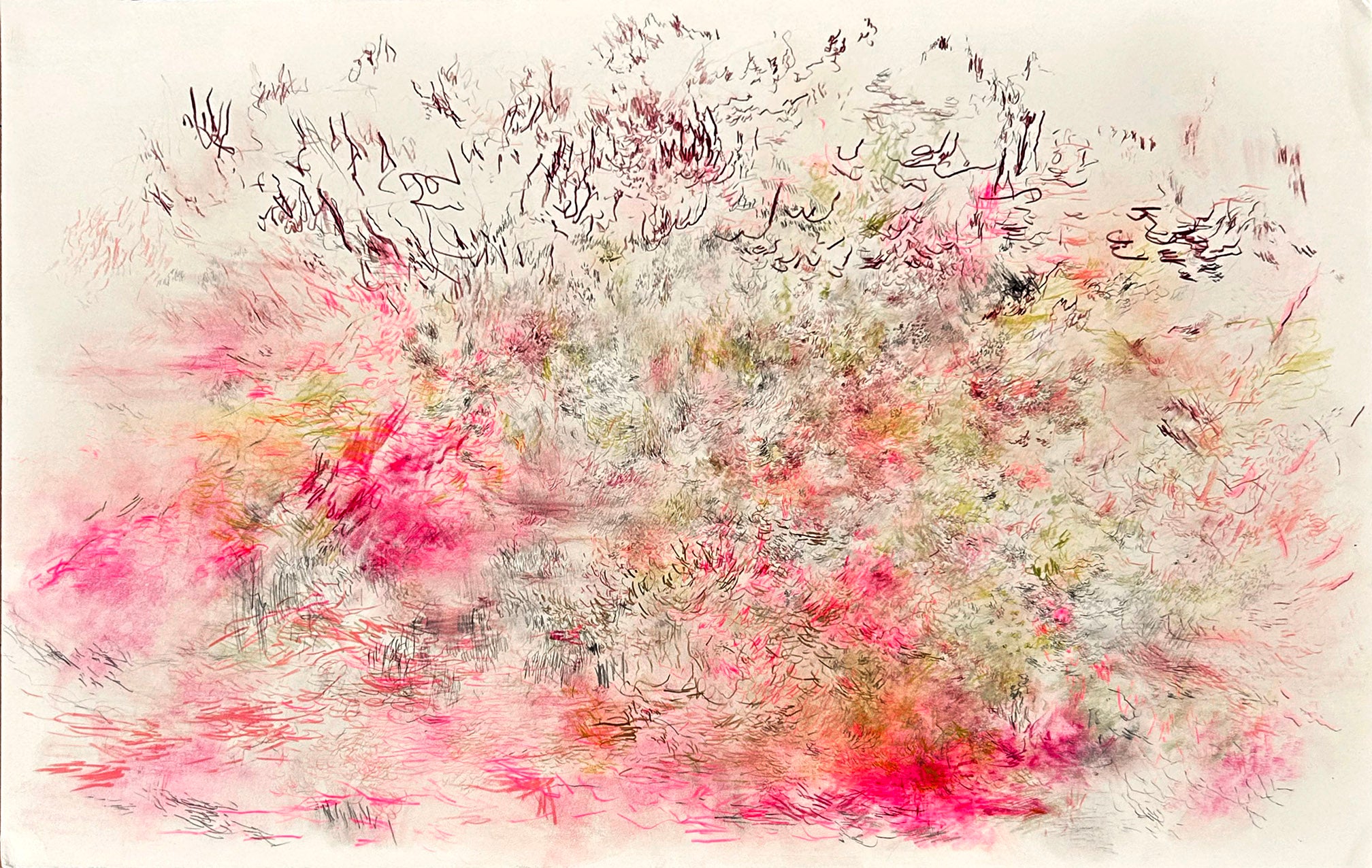 "The song of freedom"