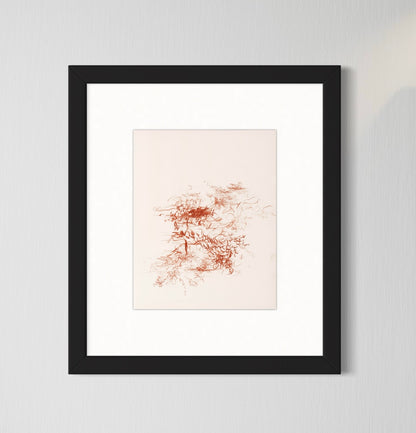 &quot;Sanguine&quot;